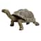 Safari Ltd® Galapagos Tortoise